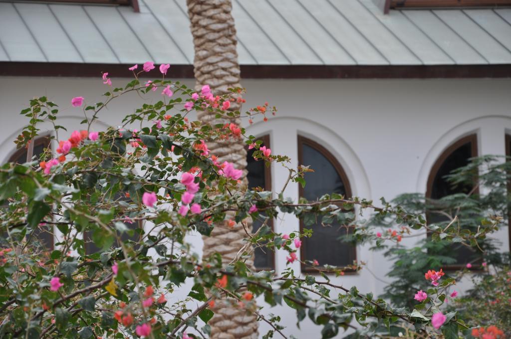 Russian Pilgrim Residence Sweimeh Екстер'єр фото
